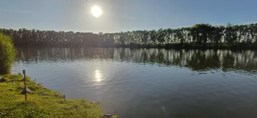 Joó-tó - Galéria kép