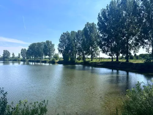 Csepel-tó - Galéria kép