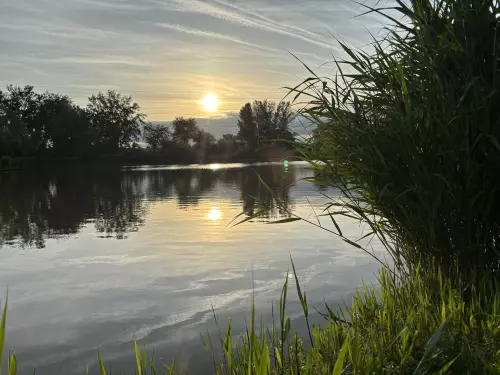 Benta tavak - Galéria kép