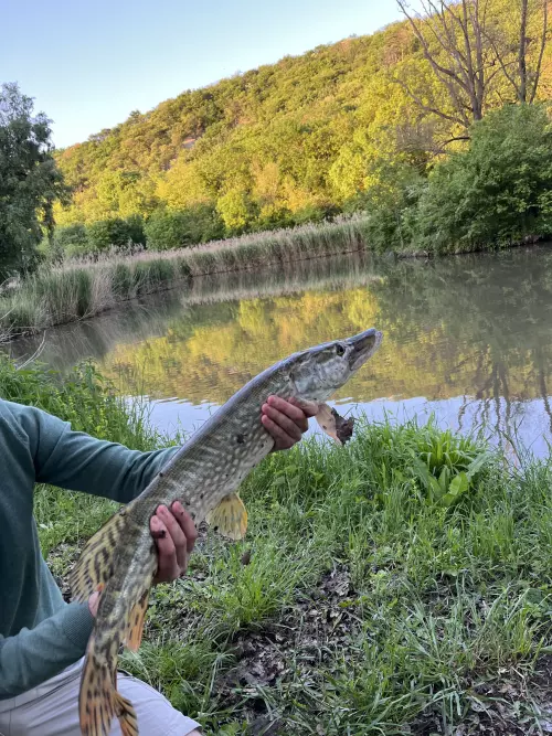 Diána és Zoltán horgásztó - Galéria kép