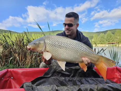 Never Zero Sporthorgásztó - Galéria kép