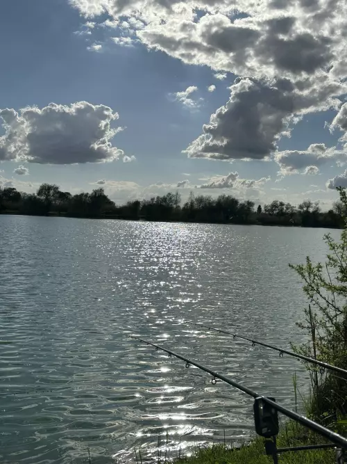 Csaba-tó - Galéria kép