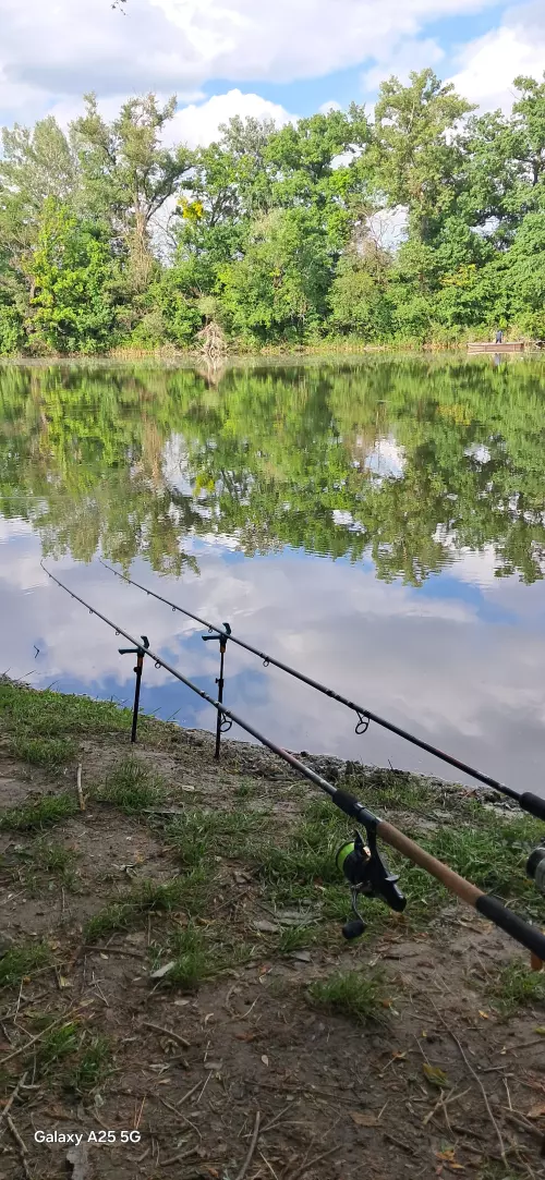 Solti Kisduna - Galéria kép