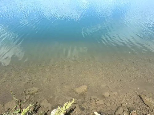 Alsózsolcai Házgyári-tó - Galéria kép