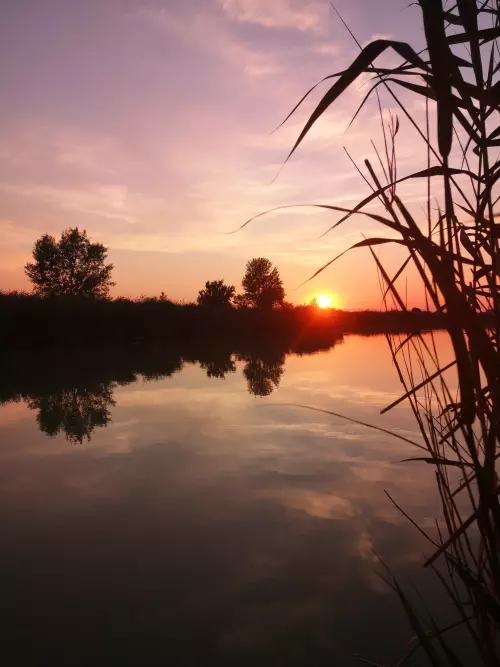 Borsosgyőri-tó - Galéria kép