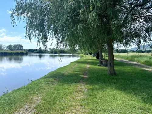 Nádastó - Galéria kép