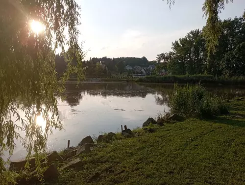 Surdi parktó - Galéria kép