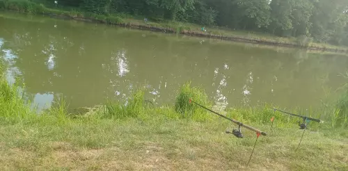 Kerkaszentkirályi Kerka-holtág - Galéria kép