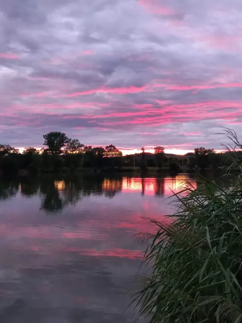 Tóaljai tavak - Galéria kép