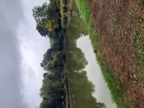 Látóhegyi tavak - Galéria kép