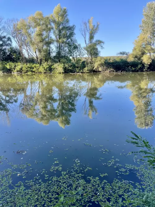 Kis-Tisza holtág - Galéria kép