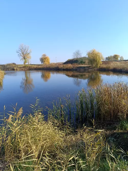 Vidrás Bányató - Galéria kép