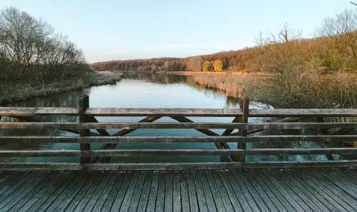 Horgászhely: Deseda-tó