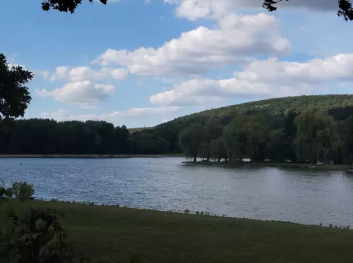 Pécsi-tó - Galéria kép