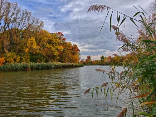 Hogyan kezdj el horgászni? - Teljes útmutató kezdőknek 2026