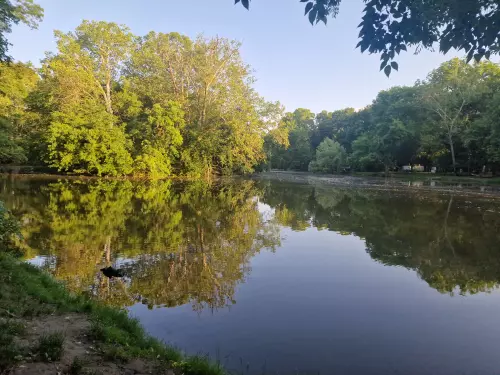 Horgászhely: Gyermekvárosi-tó