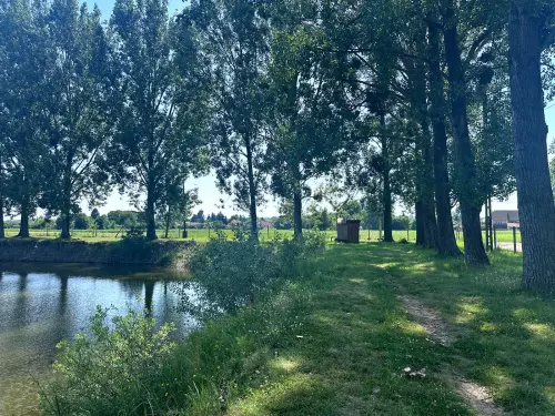 Csepel-tó - Galéria kép