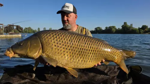 Carp & Carp Hejőkeresztúr - Galéria kép
