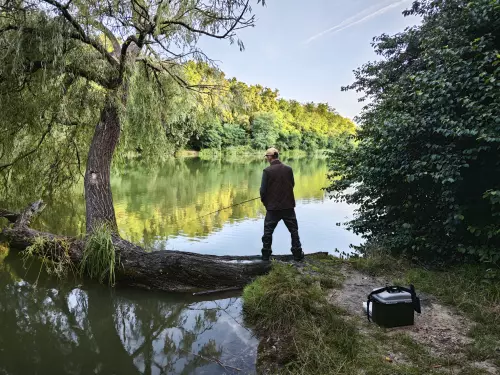 Gébárti-tó - Galéria kép