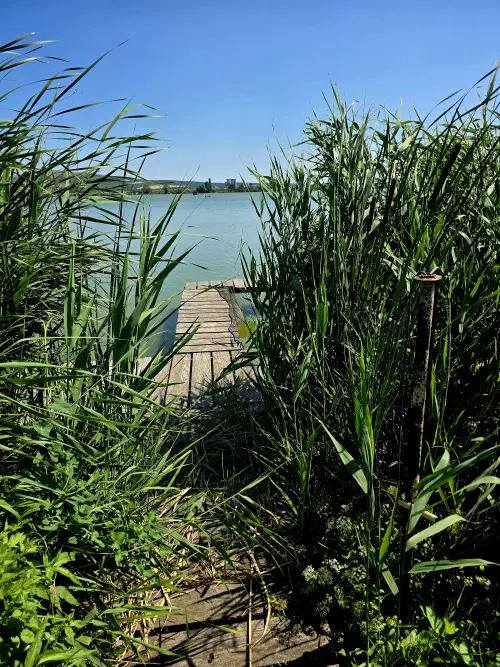 Nagybivalyos Horgásztó - Galéria kép