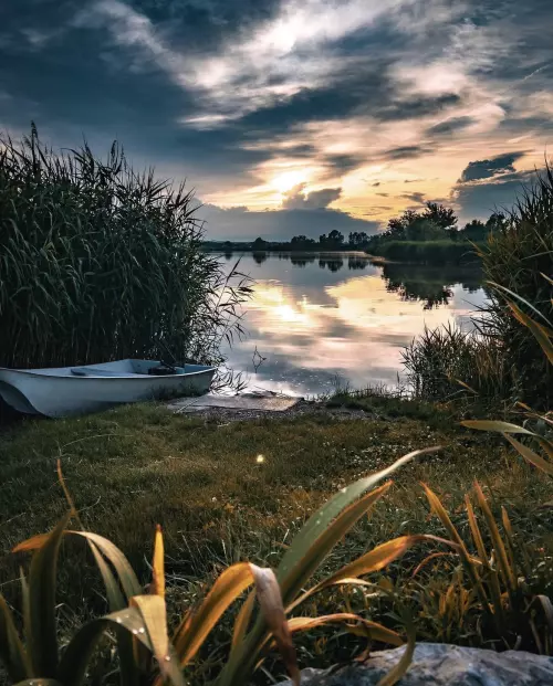 Battyán Carp Lake - Galéria kép