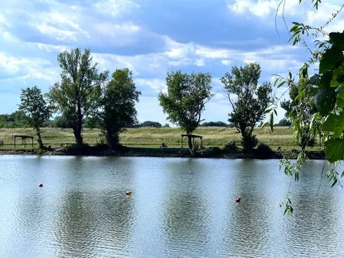 Családi Horgásztó (Nagycsécs Belsőségi tó) - Galéria kép