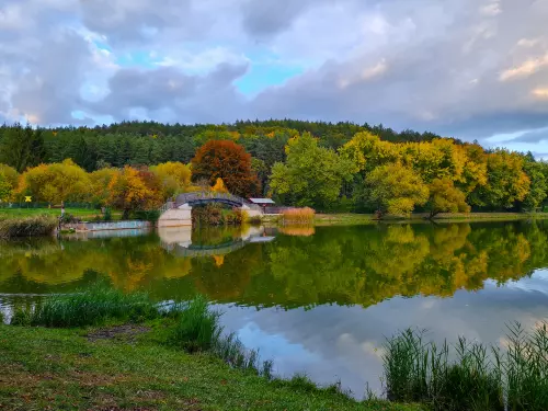 Horgászhely: Gedőci-völgyi víztározó
