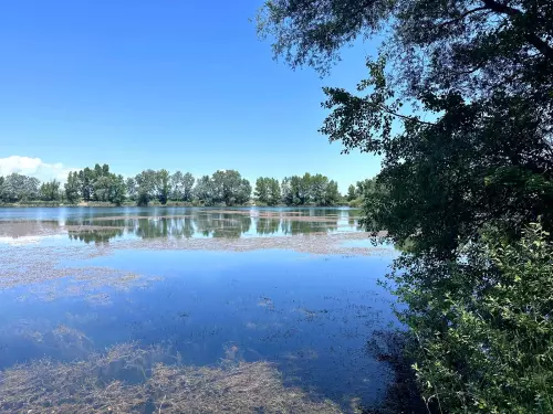 Hejőkürti homokbányató - Galéria kép