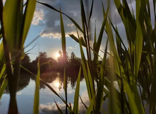 Tőzeges Tó - Galéria kép