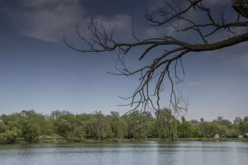 Tüskei horgásztó - Galéria kép