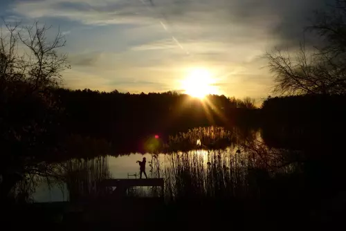 Fenyves-tó - Galéria kép