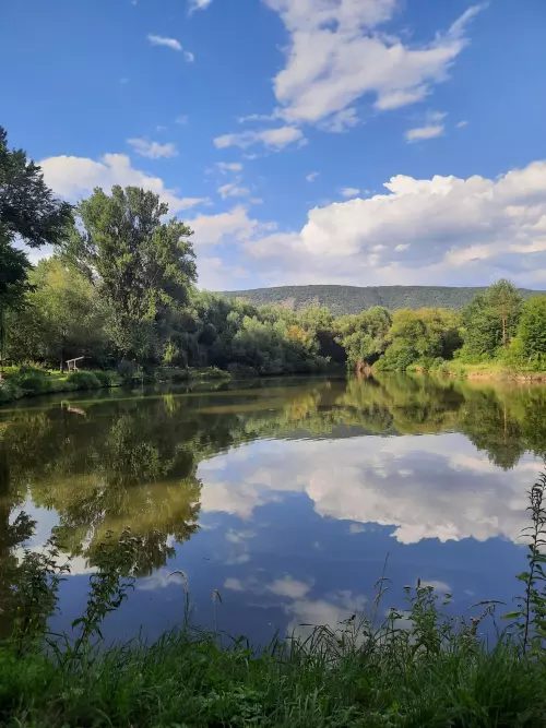 Horgászhely: Látóhegyi tavak