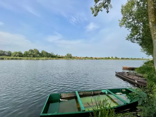 Nagy‑Morotva holtág - Galéria kép