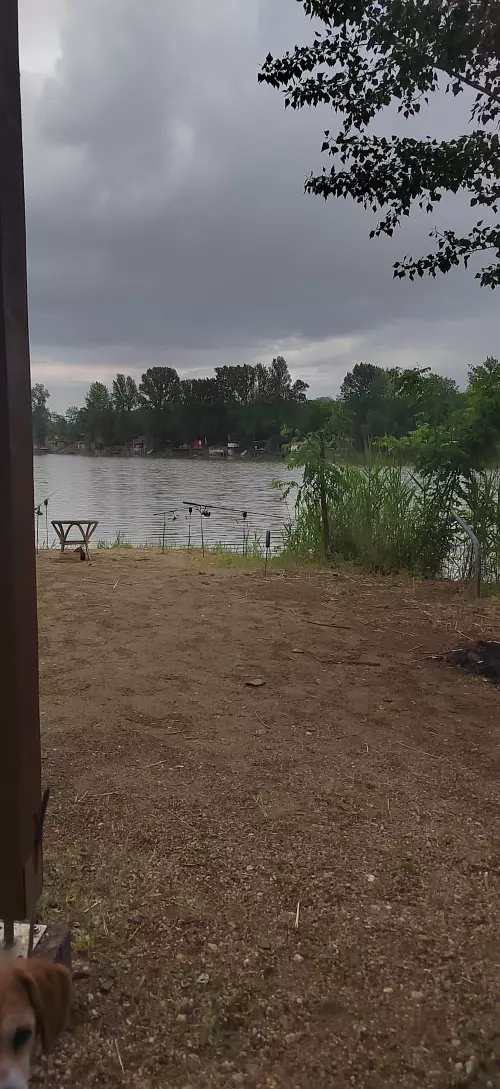 Fárasztó horgásztó - Galéria kép