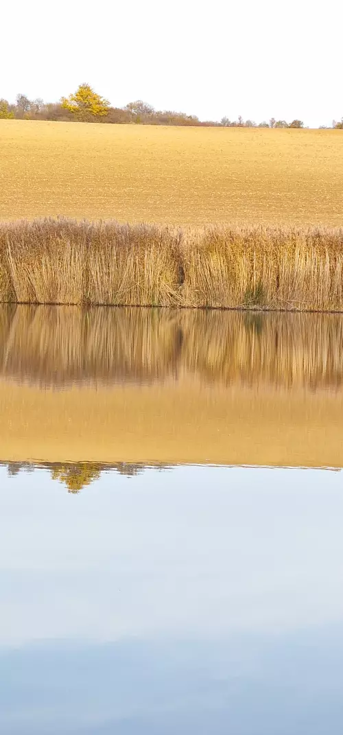 Tarjáni halastó horgászhely képe – Tarján