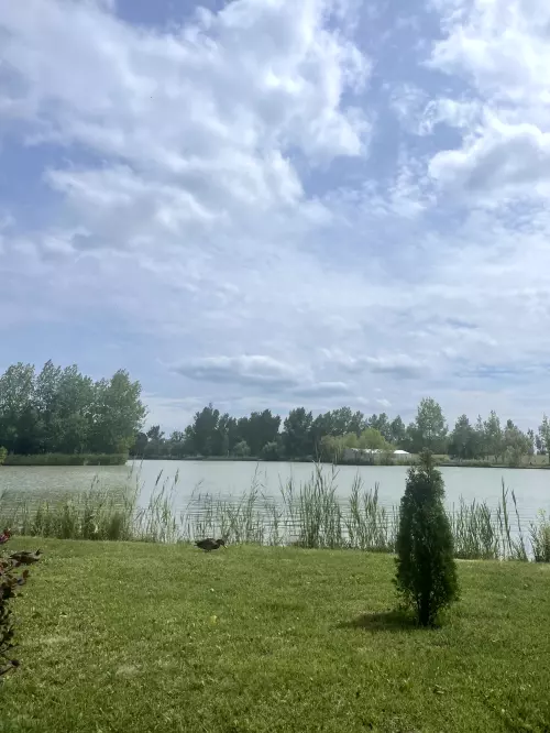 Tüskevár horgásztó - Galéria kép