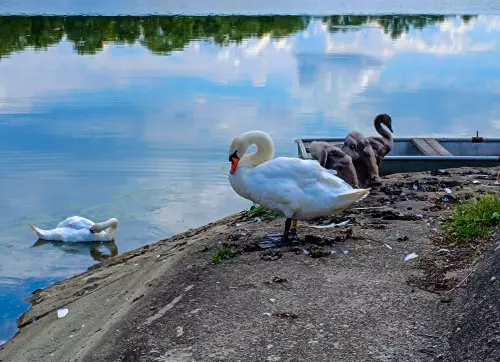 Maconkai-víztározó - Galéria kép