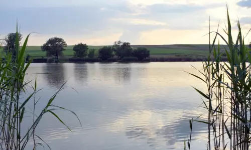 Zengő II. Horgásztó - Galéria kép