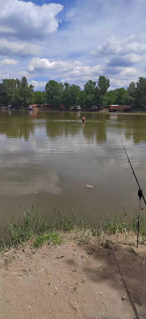 Fárasztó horgásztó - Galéria kép