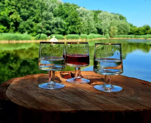 Jóléti-tó - Galéria kép