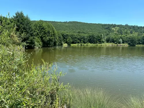 Kondói II. bányató - Galéria kép