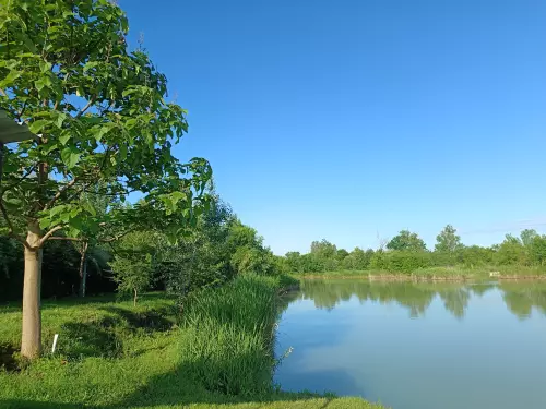 Sándor horgásztó - Galéria kép