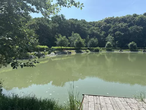 Horgászat kezdőknek – így indulj el az első halfogás felé!