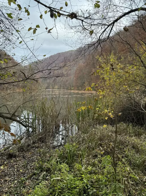 Hámori-tó - Galéria kép