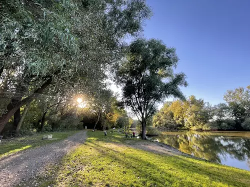 Kacsa-tó - Galéria kép