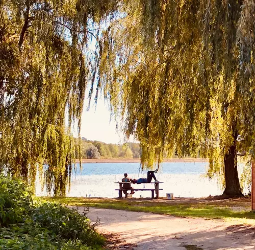 Háromfa horgásztó - Galéria kép