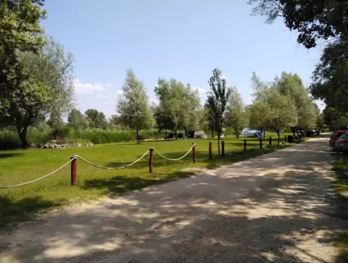 Király Ponty horgásztó - Galéria kép