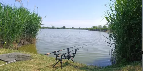 Gulya Carp Lake - Galéria kép