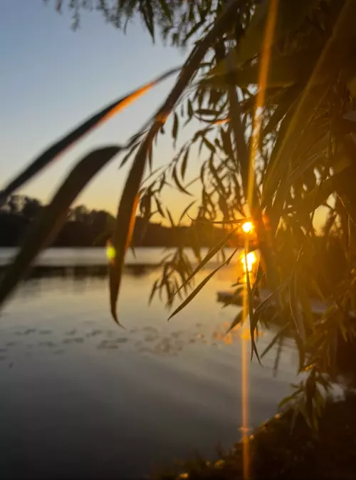 Tiszafüred horgászhelyek - Galéria kép