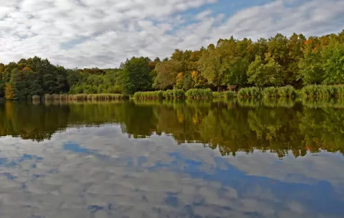 Égeresi-tavak horgászhely képe – Oroszlány